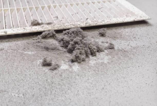 Best Dryer Vent Cleaning Services  in Cumberland, MD