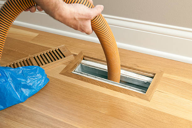 Air Duct Mold Removal in MD