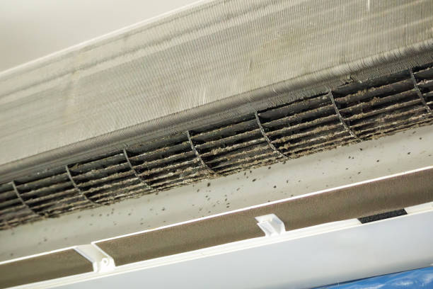 Best Air Duct Cleaning Near Me  in Cumberland, MD