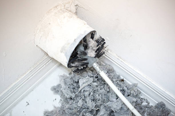 Best Air Duct Cleaning Near Me  in Cumberland, MD